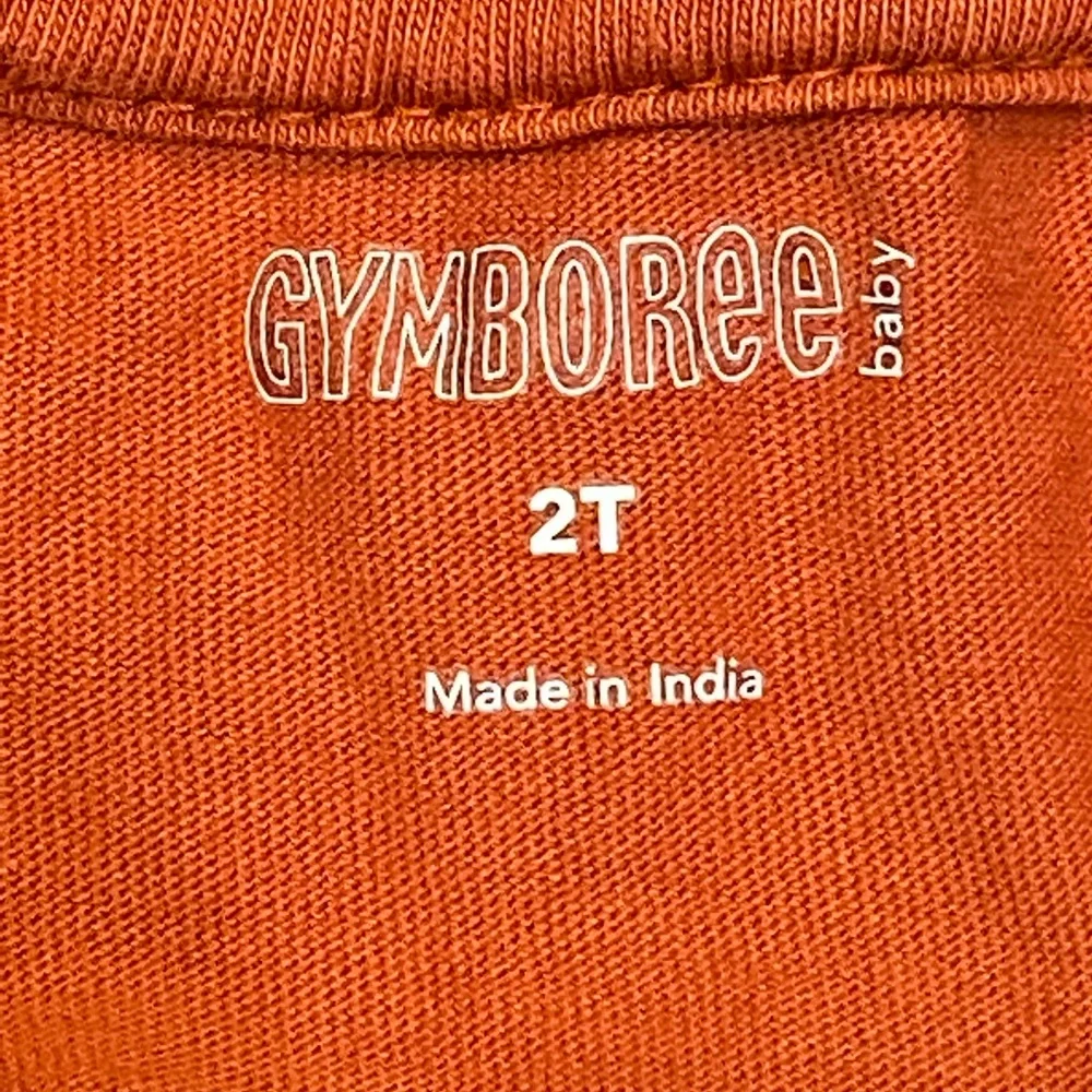 Gymboree mummy tee